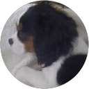 Evanthia Christodoulakis profile picture